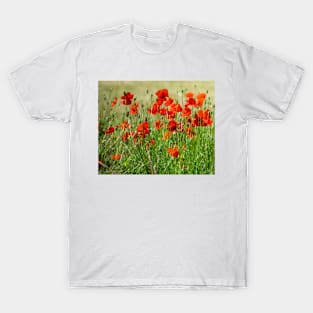 Red poppy field view T-Shirt